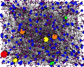 Social Network Map